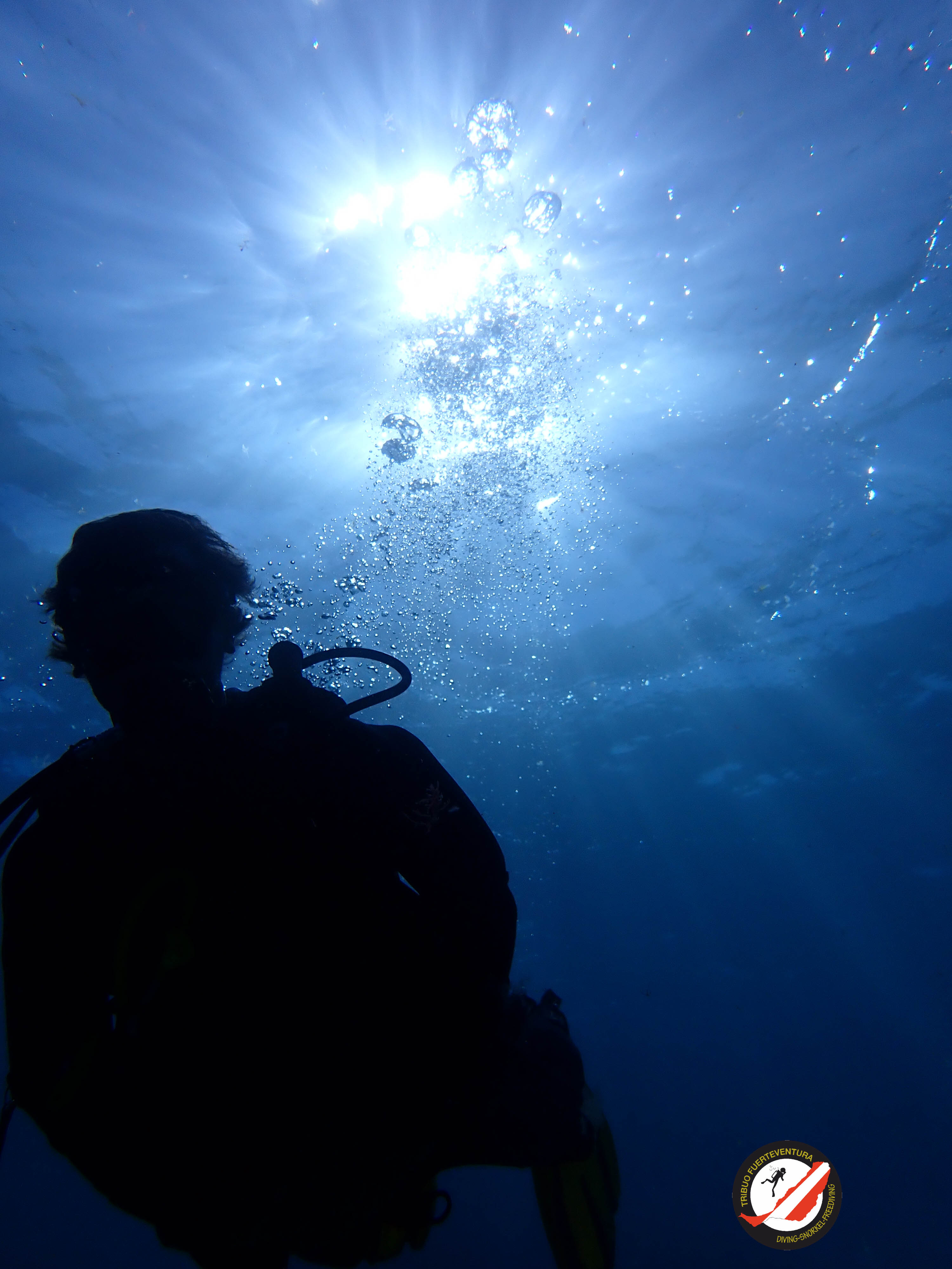 WHAT IS THE PADI DIVEMASTER COURSE?