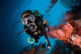 DIVING VS DEPRESSION EXPLORING THE THERAPEUTIC BENEFITS OF THE UNDERWATER WORLD