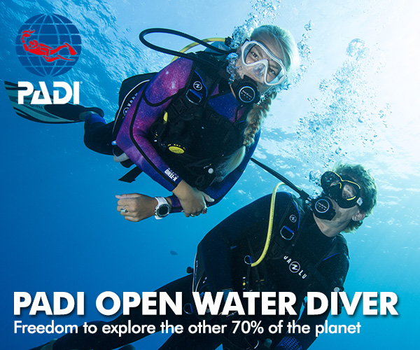 THE BEST DIVING DESTINATIONS FOR OW PADI CERTIFIED DIVERS IN THE CANARY ISLANDS