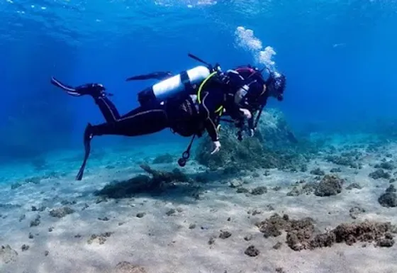 Baptême de Plongée à Fuerteventura