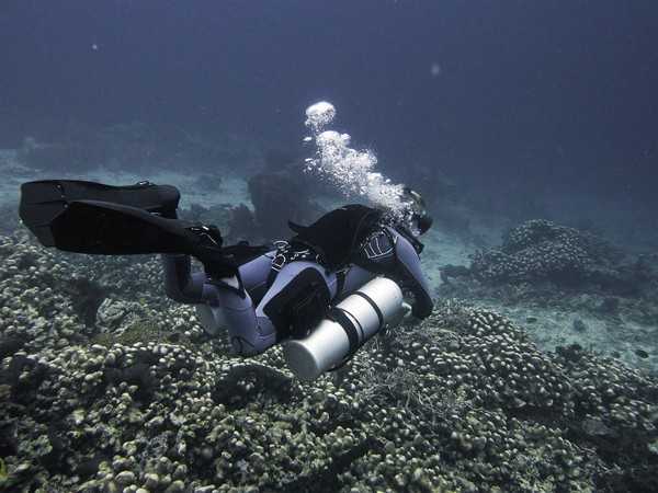 BUCEO EN SOLITARIO: UNA EXPERIENCIA PERSONAL Y REFLEXIVA POR ANGEL