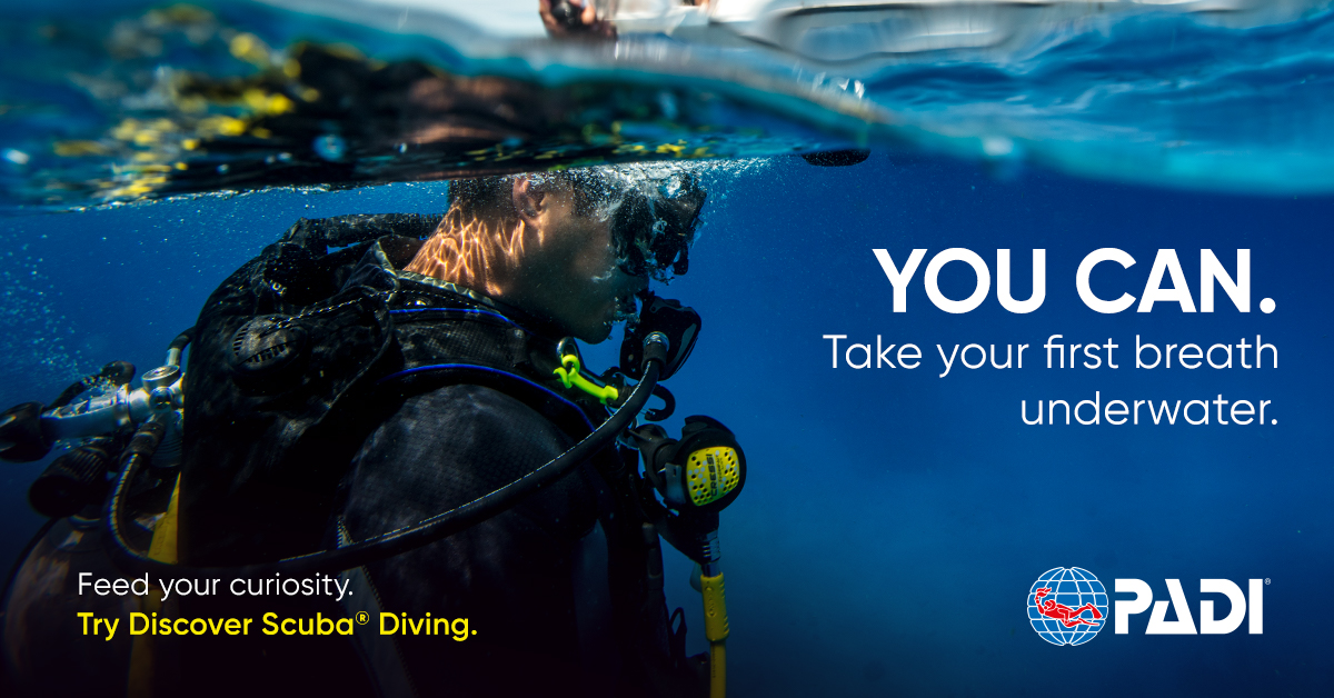 CUAL ES LA DIFERENCIA ENTRE LA EXPERIENCIA DE BUCEO PADI DISCOVER SCUBA Y UN TRY DIVE