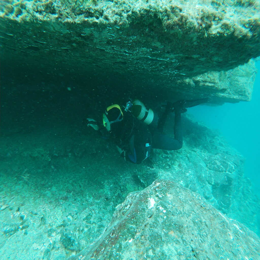 Salidas Guiadas de buceo